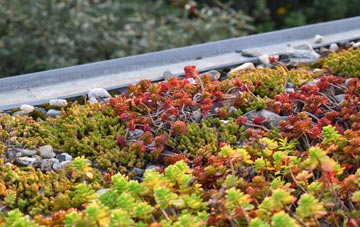 the cost of Blackthorpe green roof installation