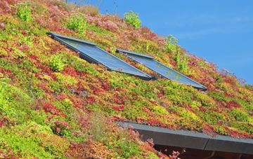 Blackthorpe living roof systems